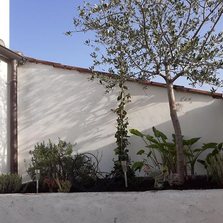 Il Nido Appartement Terni Buitenkant foto
