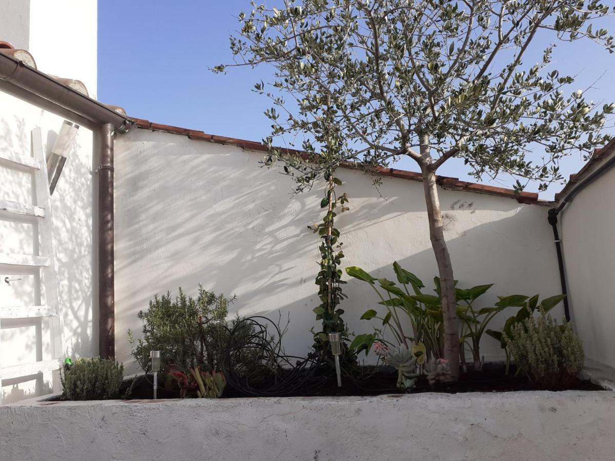 Il Nido Appartement Terni Buitenkant foto